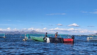 Requirements for fish and seafood to be allowed on the European Market
