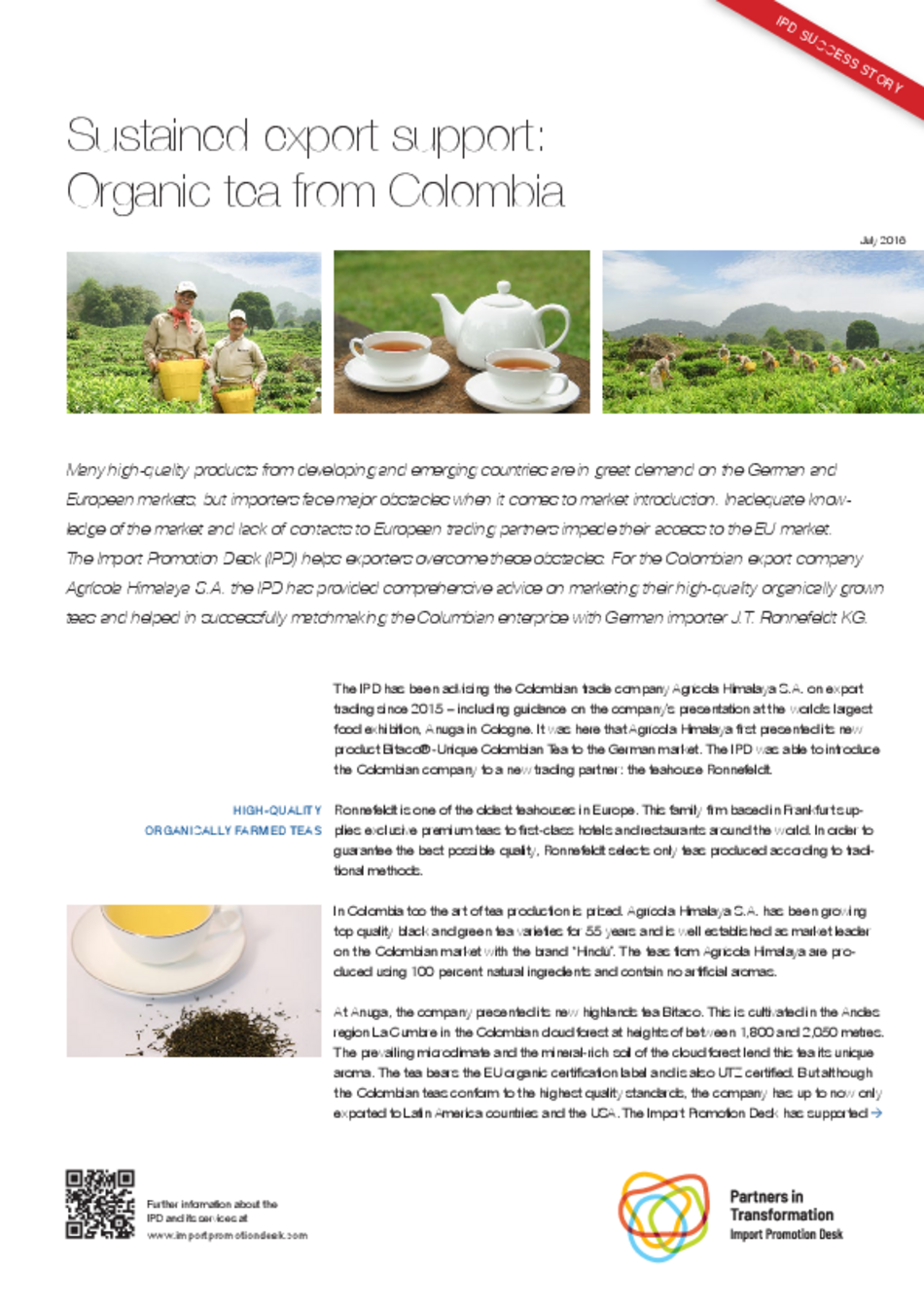 Success story organic tea