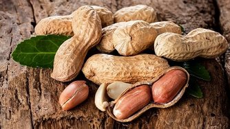 Product Fact Sheet: The European market for groundnuts