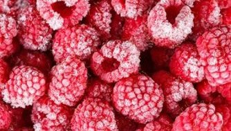Product Fact Sheet: Frozen berries in Europe