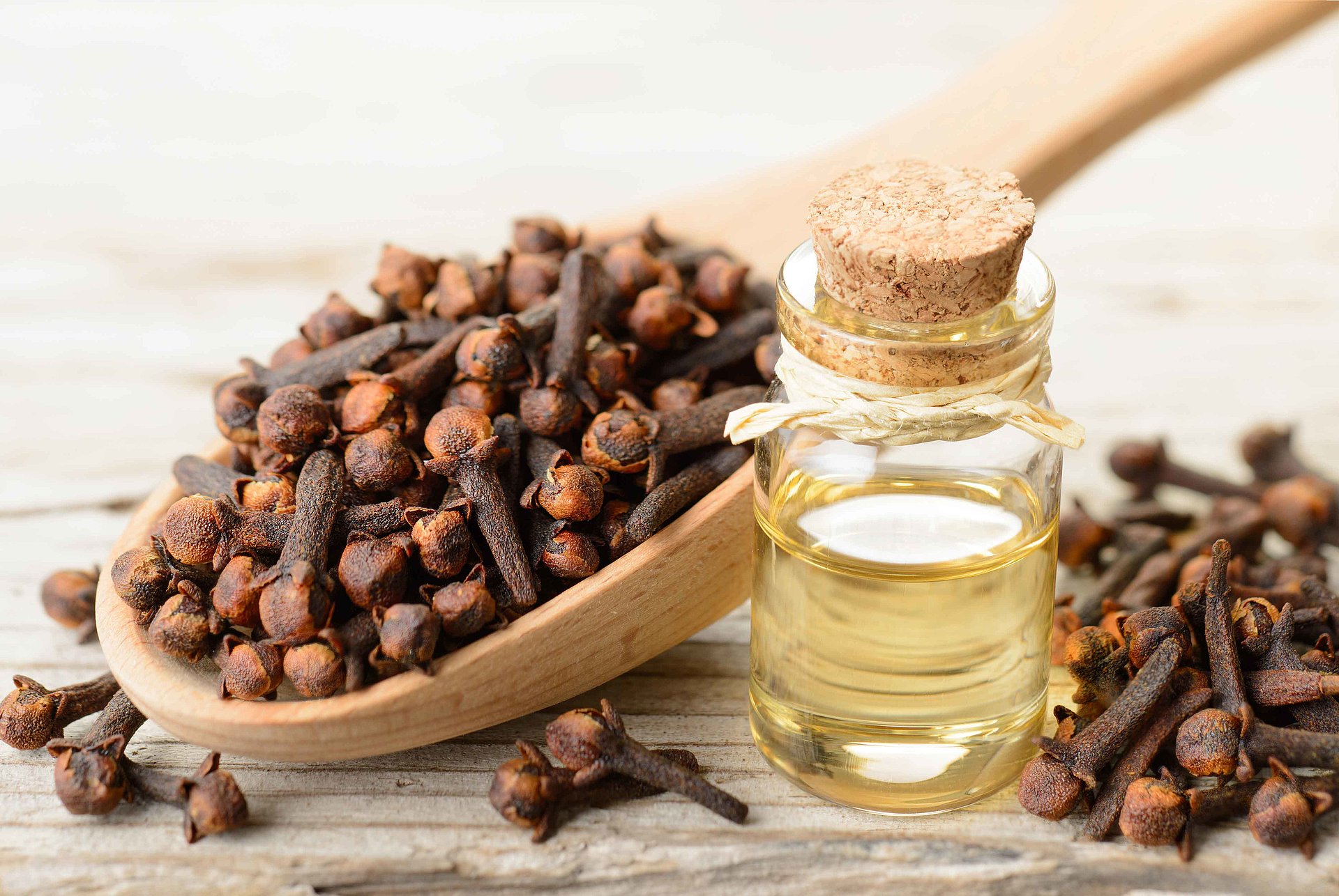 [Translate to Englisch:] Cloves and clove oil