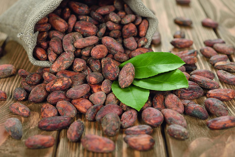 Cocoa Beans