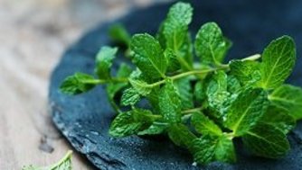 Product Fact Sheet: Fresh herbs in Germany
