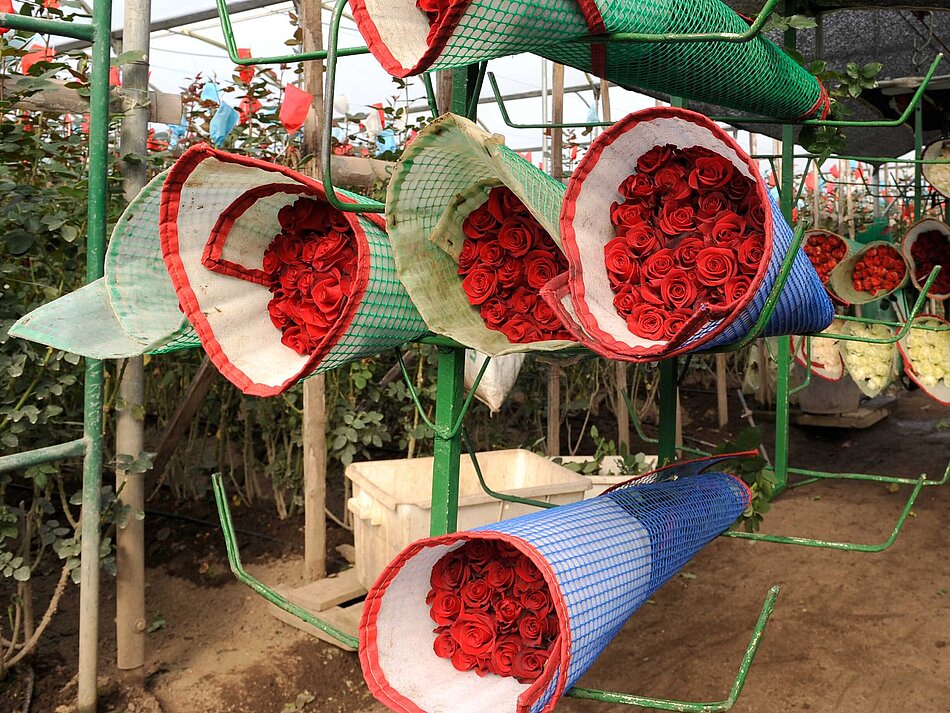 Mehrere Sträuße mit roten Rosen lagern nebeneinander