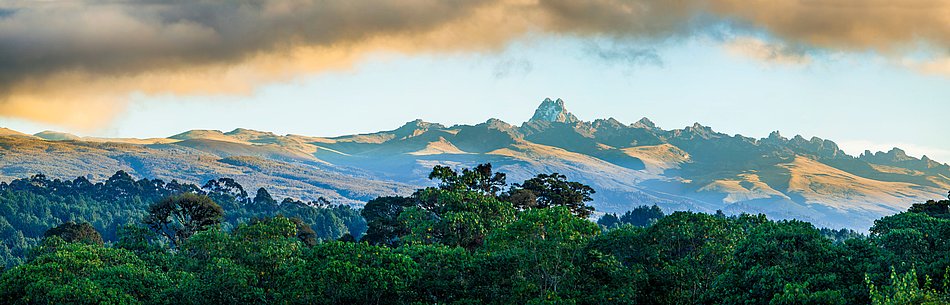 A Kenyan landscape with trees and mountains