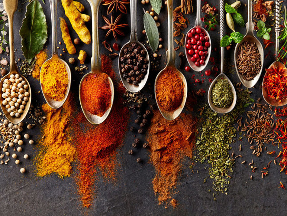 A selection of different spices is presented on spoons