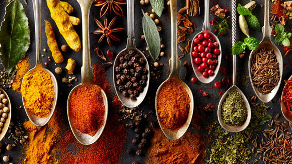 A selection of different spices is presented on spoons