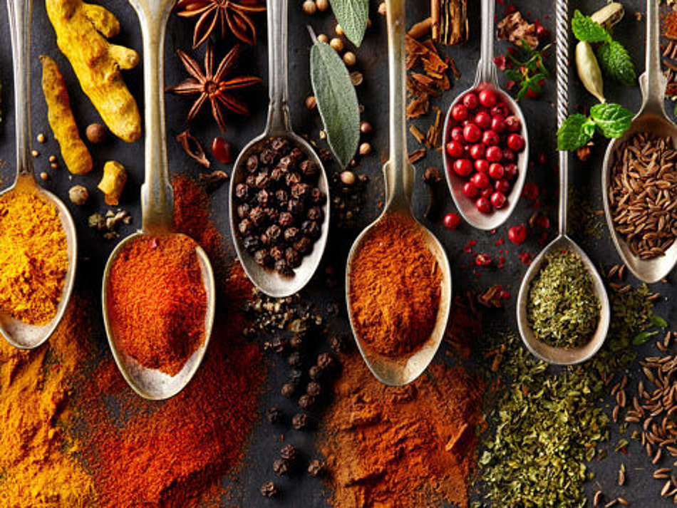 A selection of different spices is presented on spoons