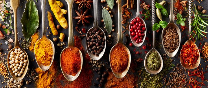 A selection of different spices is presented on spoons