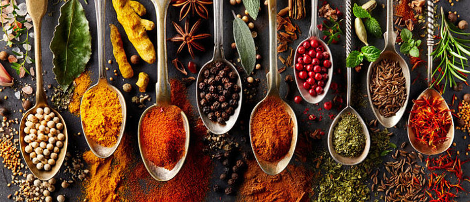 A selection of different spices is presented on spoons