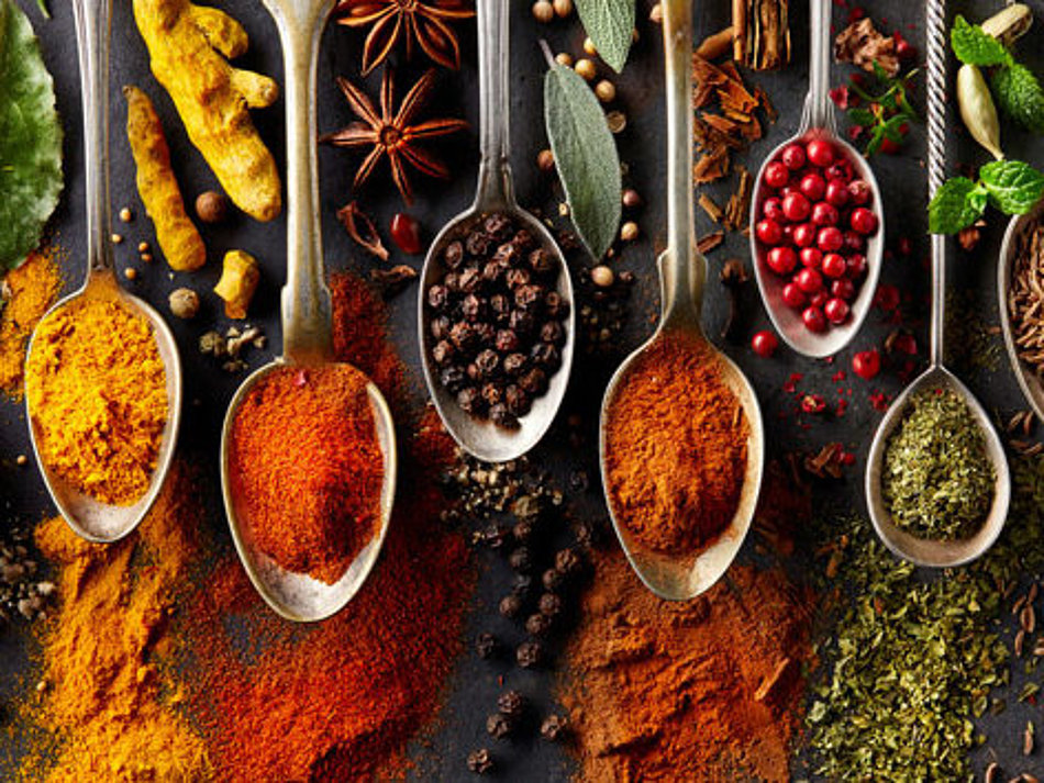 A selection of different spices is presented on spoons