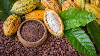 Product Fact Sheet: Specialty cocoa