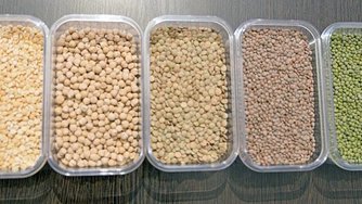 Product Fact Sheet: Dried lentils