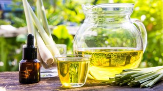 Product Fact Sheet: Exporting emerging vegetable oils to Europe