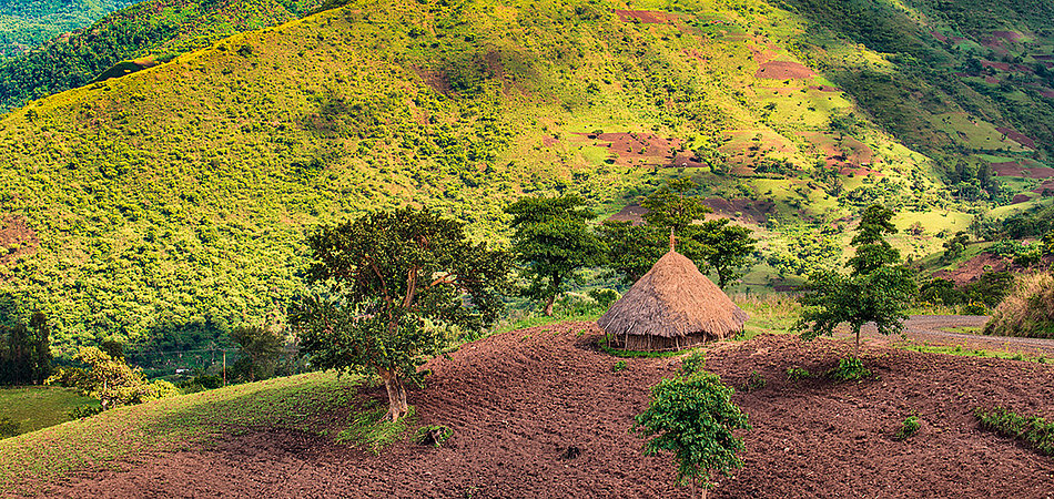 A traditional hut built in a hilly landscape 